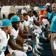Illustration for article titled Dolphins O-Line Coach Was Aware Of, Participated In Harassment